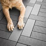 8 Steps: Creating a Pet-Friendly Kennel Flooring
